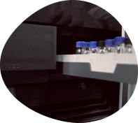 100+ ���Ҫ��